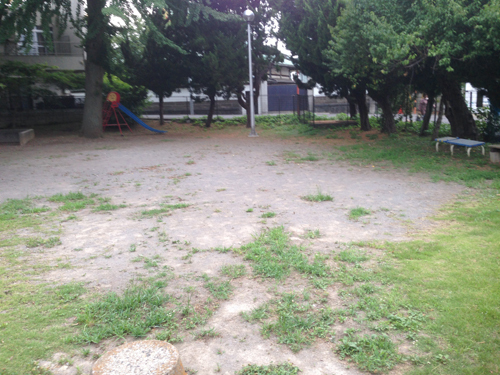 IMG_6449.jpg