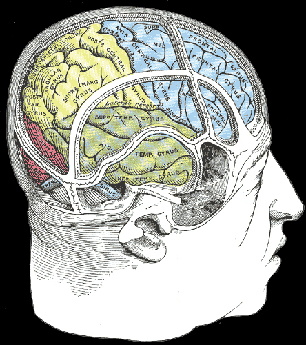 Gray1197.jpg